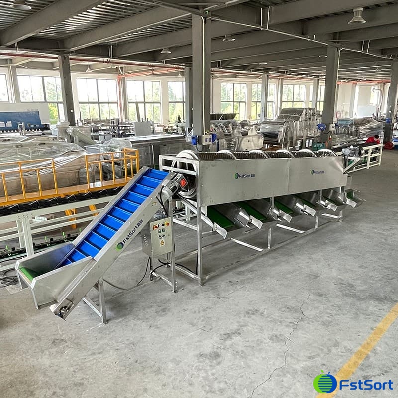 images/1665993657807walnut grader.jpg